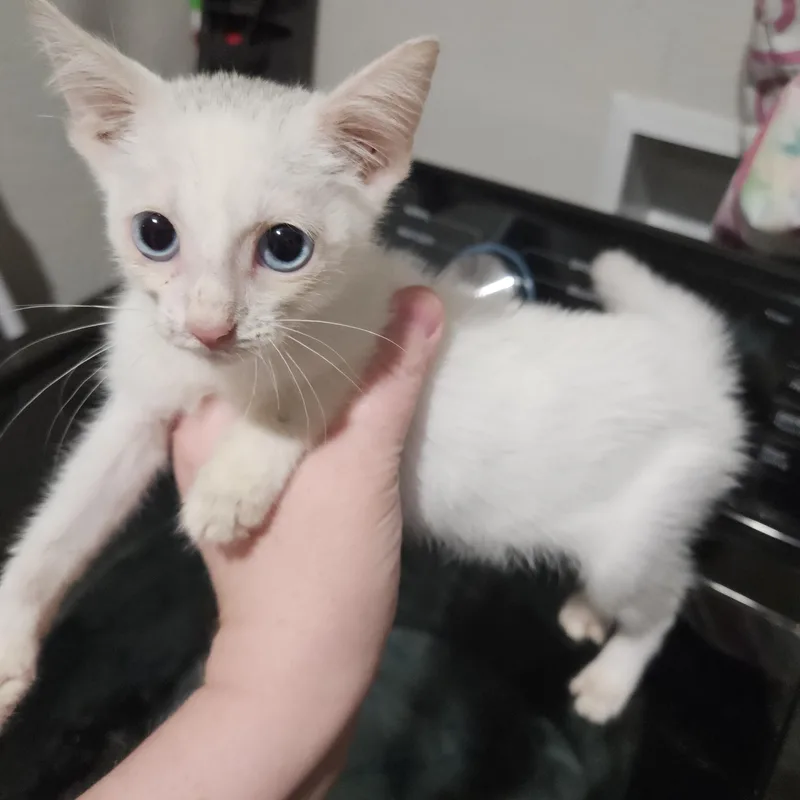 Yuki thumbnail 2