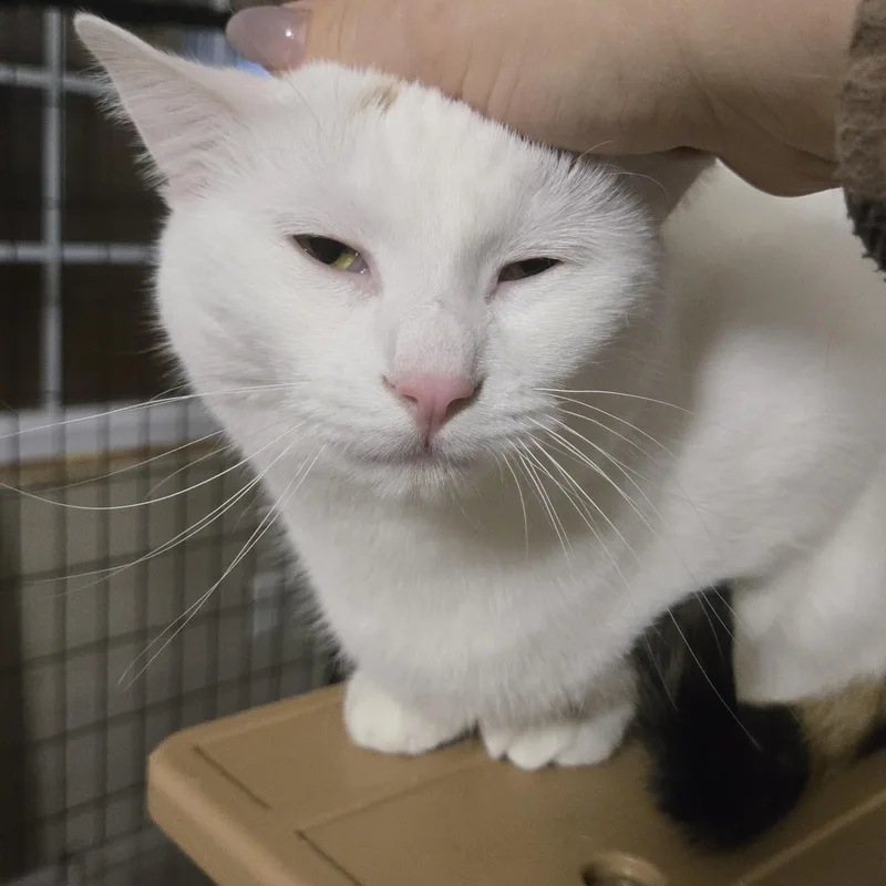 Elisabeth thumbnail 5