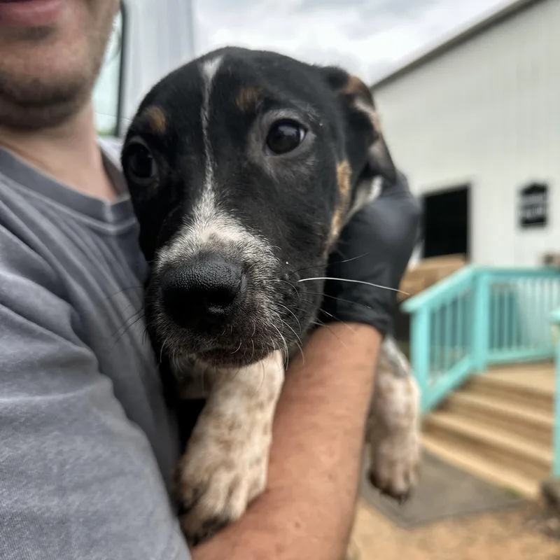 Skinny Jeans thumbnail 3