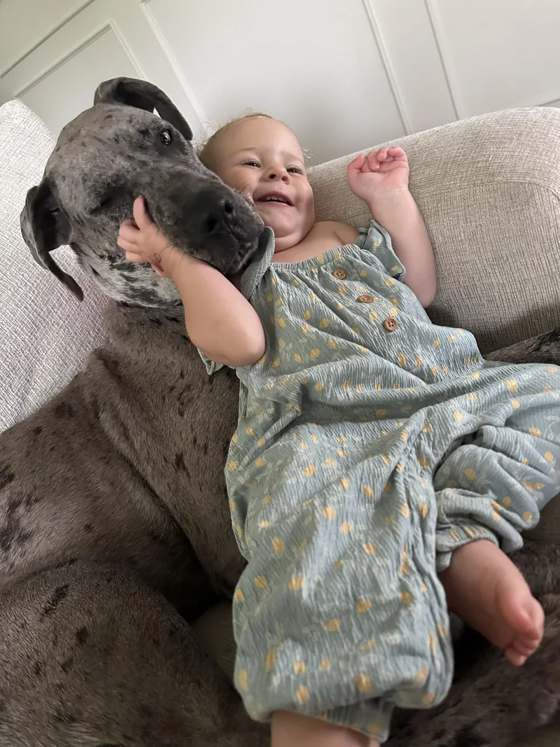 Jane the Dane