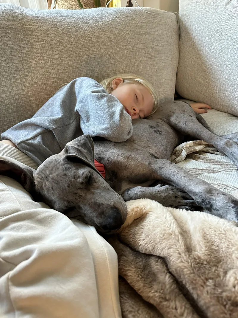 Jane the Dane thumbnail 2