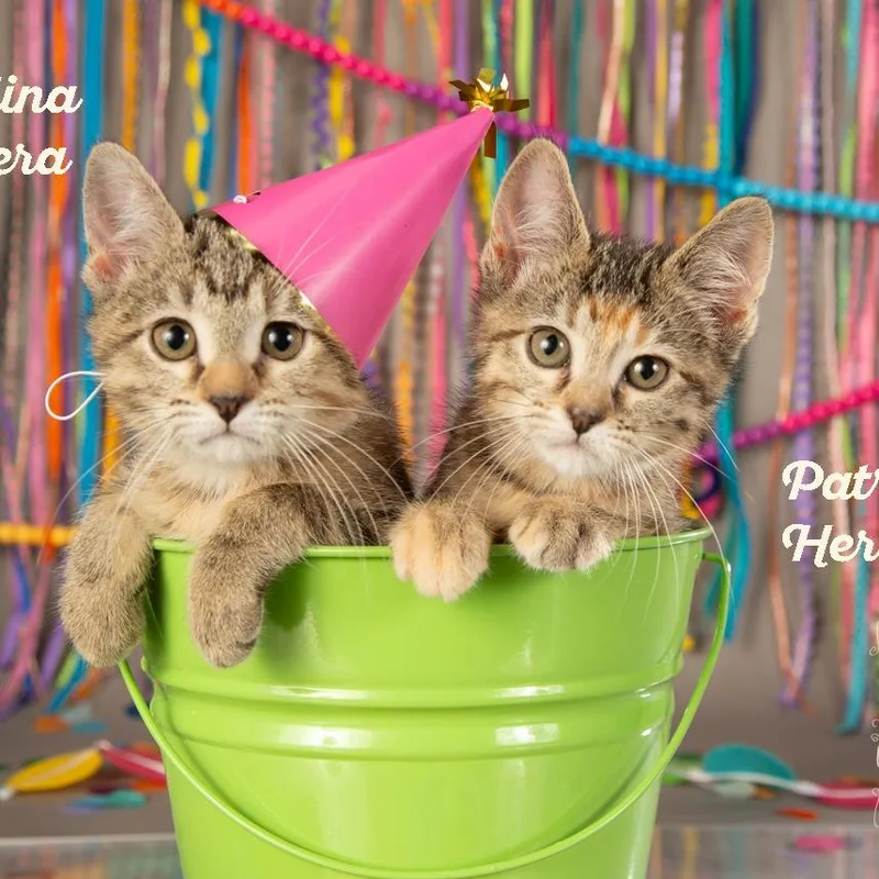 Patricia Herrera thumbnail 3