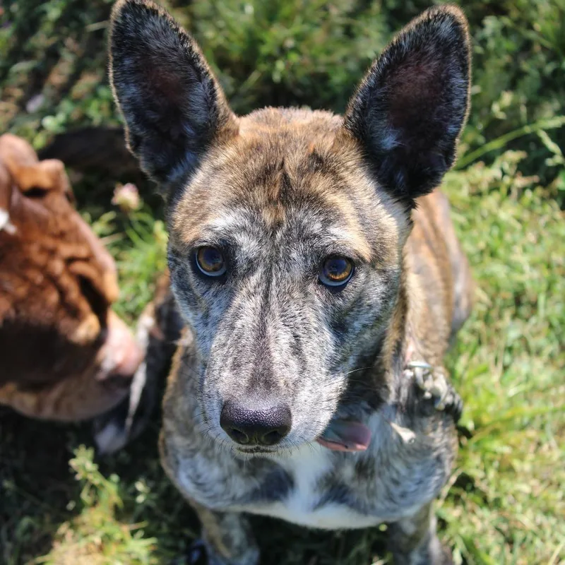 Princess thumbnail 5