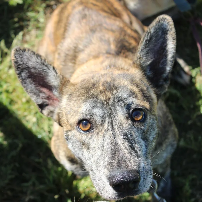 Princess thumbnail 6