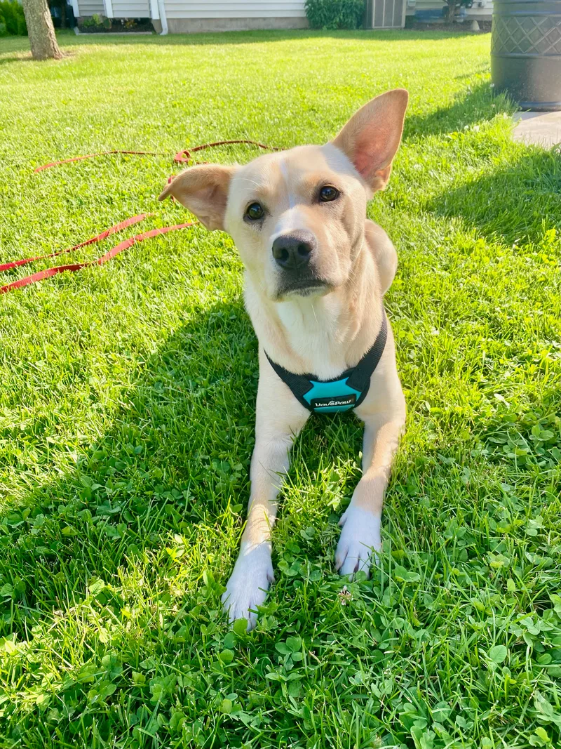 Latte  Me thumbnail 2