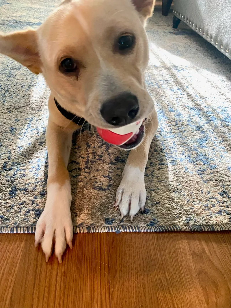 Latte  Me thumbnail 5