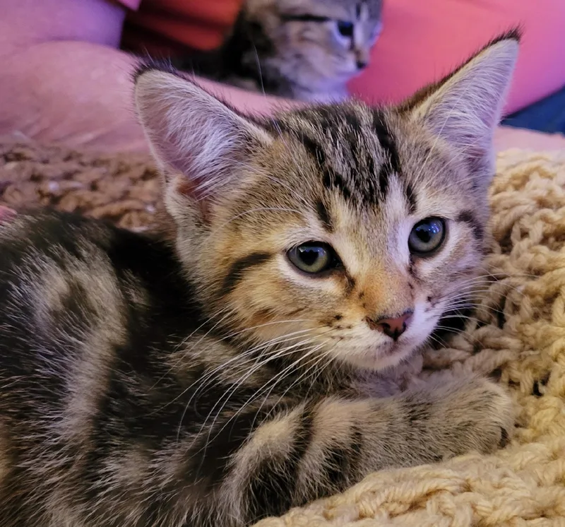 Grayson And Graham thumbnail 2