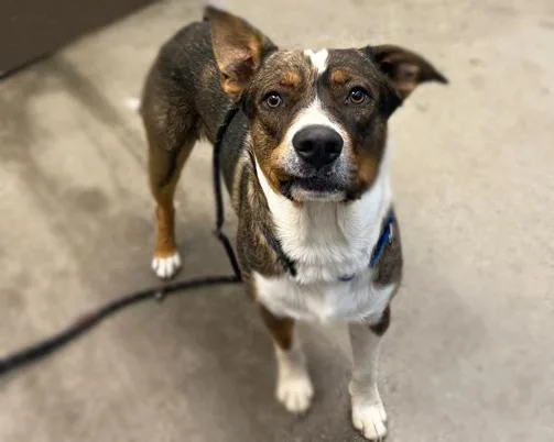 Milo