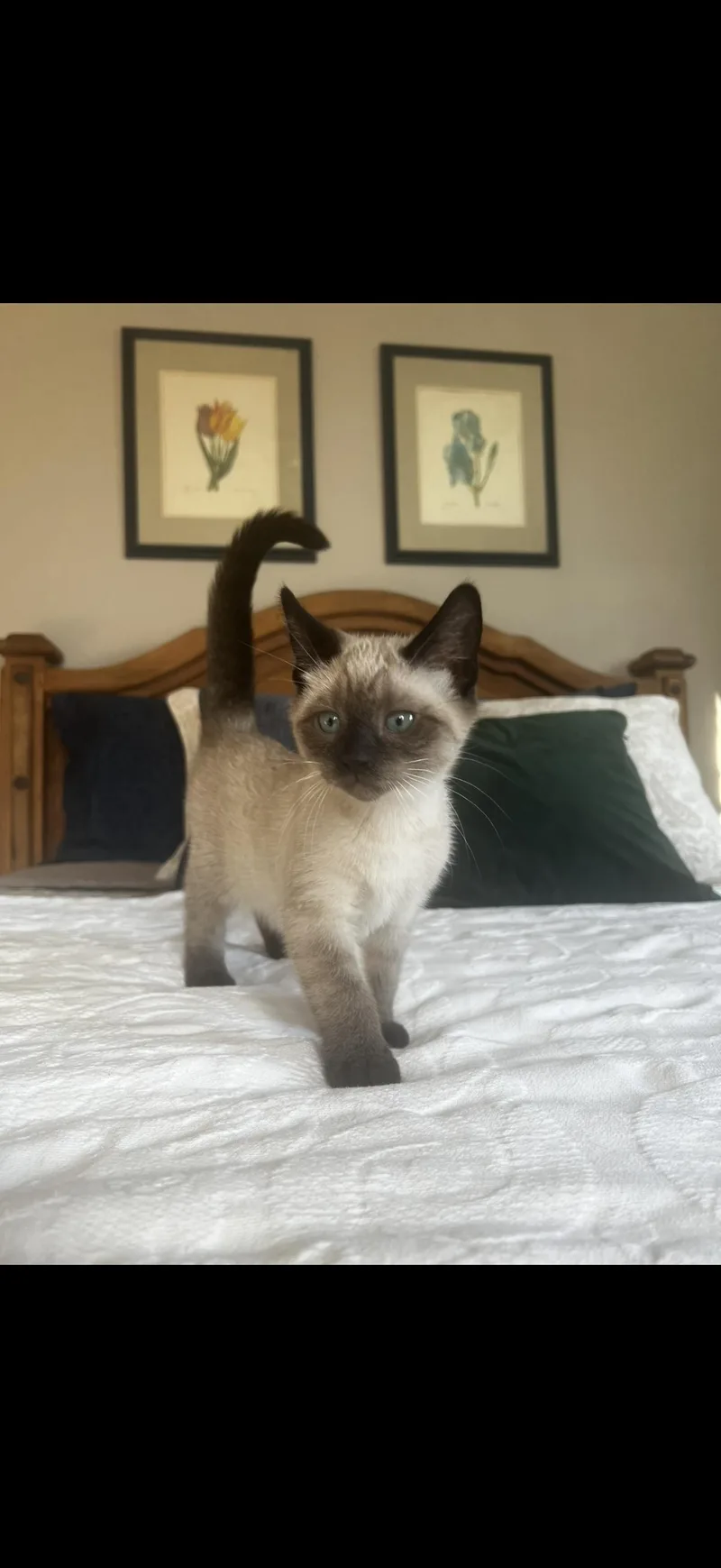 Eloise
