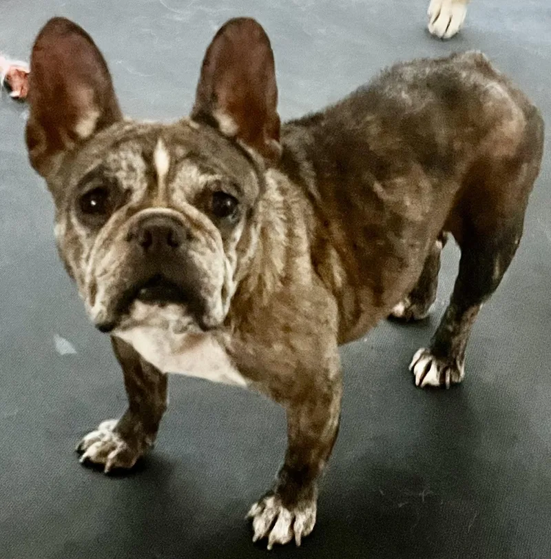 Fiona
