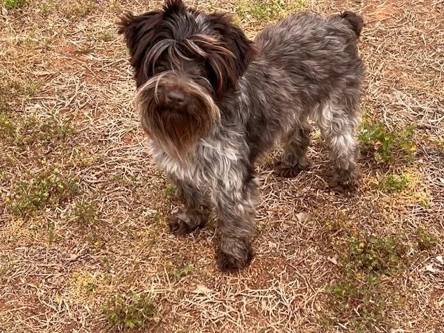 Lucy Goosey thumbnail 2