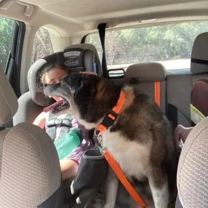 John Stamos thumbnail 2