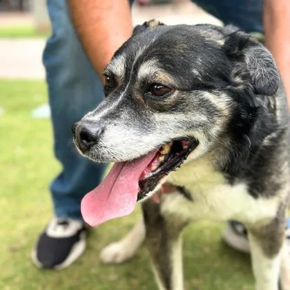 John Stamos thumbnail 3