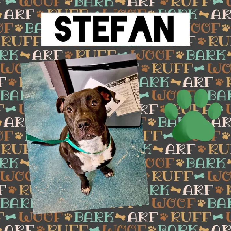 Stefan