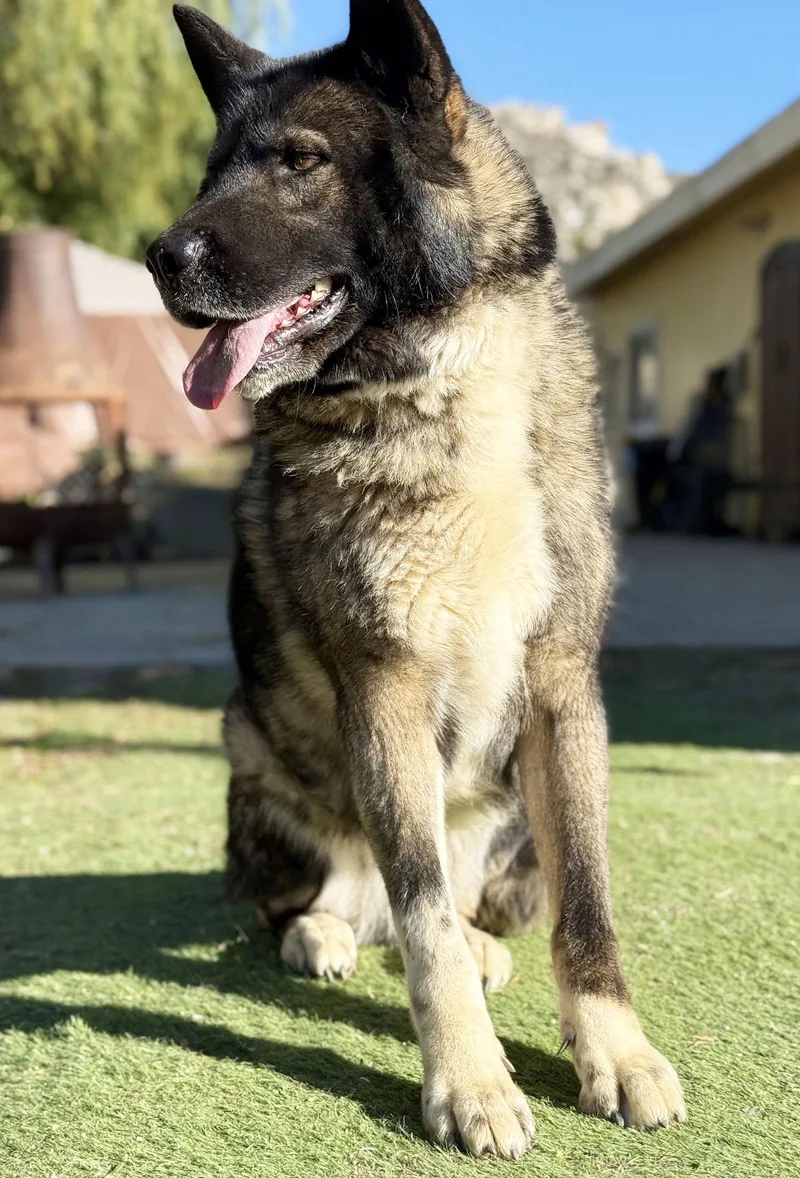 Donna Jo thumbnail 3