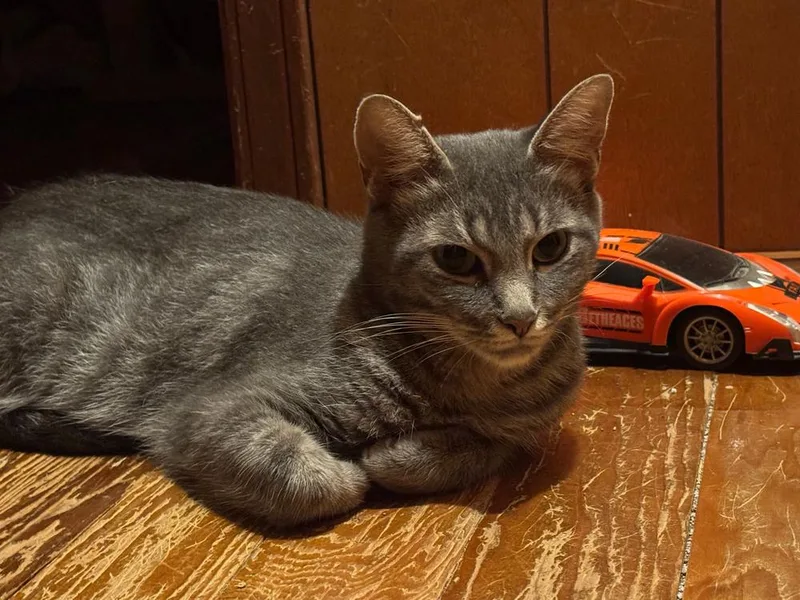 Ma Rainey thumbnail 2