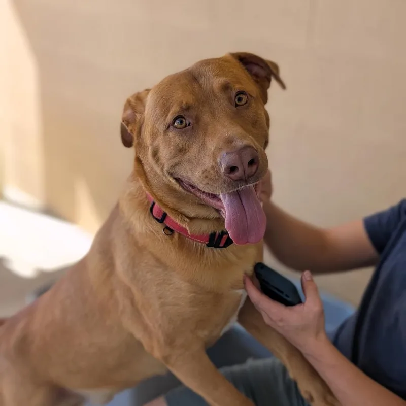 Wrangler thumbnail 2