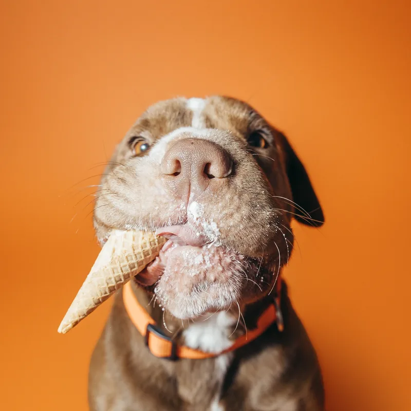 Miss Wiggles thumbnail 5