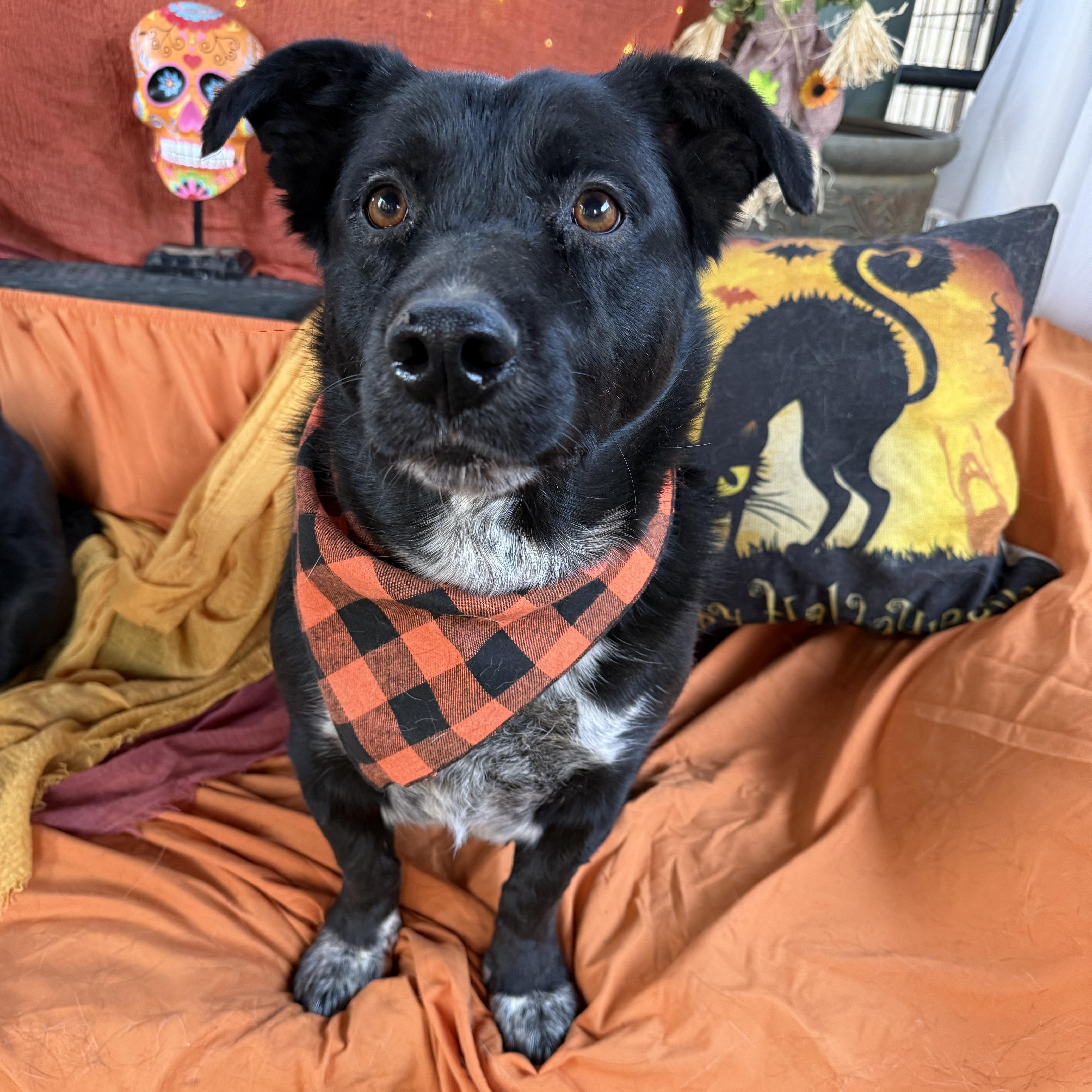 Austin  Happy  thumbnail 2