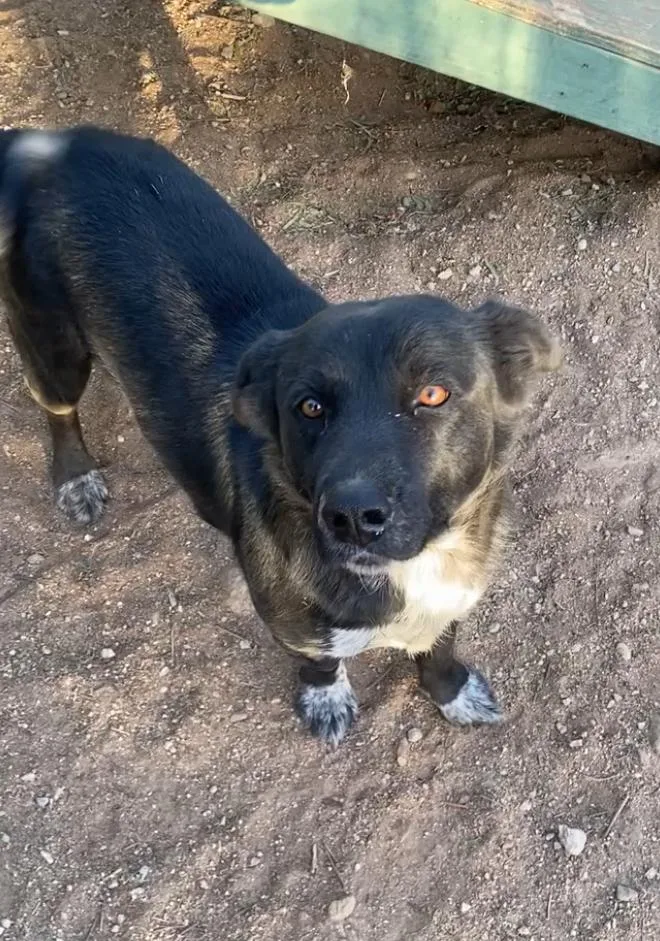 Austin  Happy  thumbnail 4