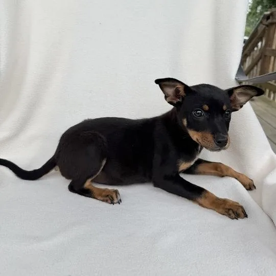 Princess Peach thumbnail 5