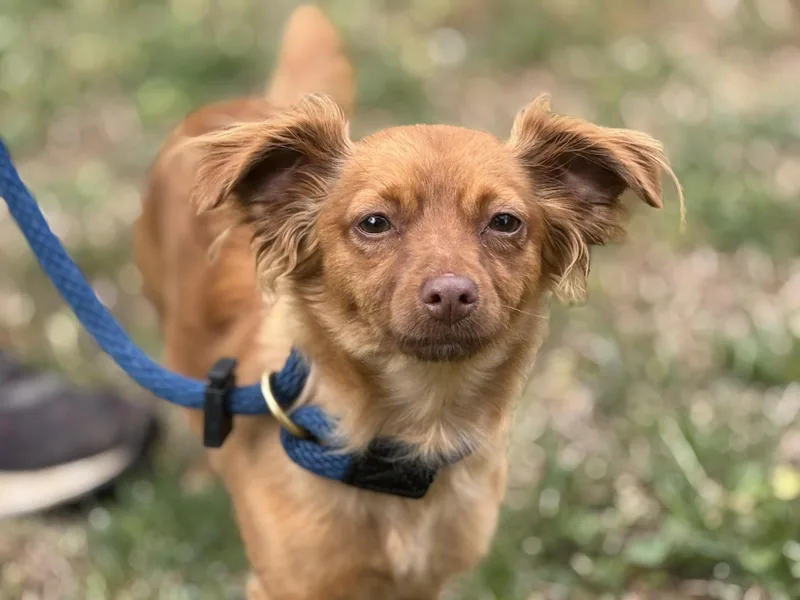 Maryclare thumbnail 2