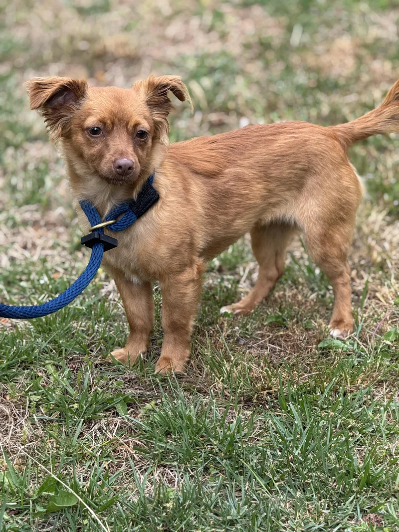 Maryclare thumbnail 4