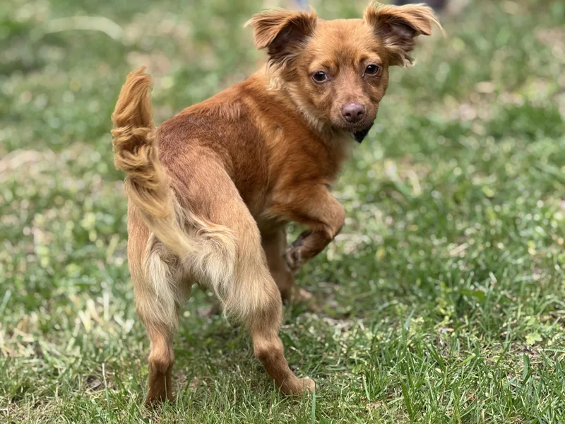 Maryclare thumbnail 5