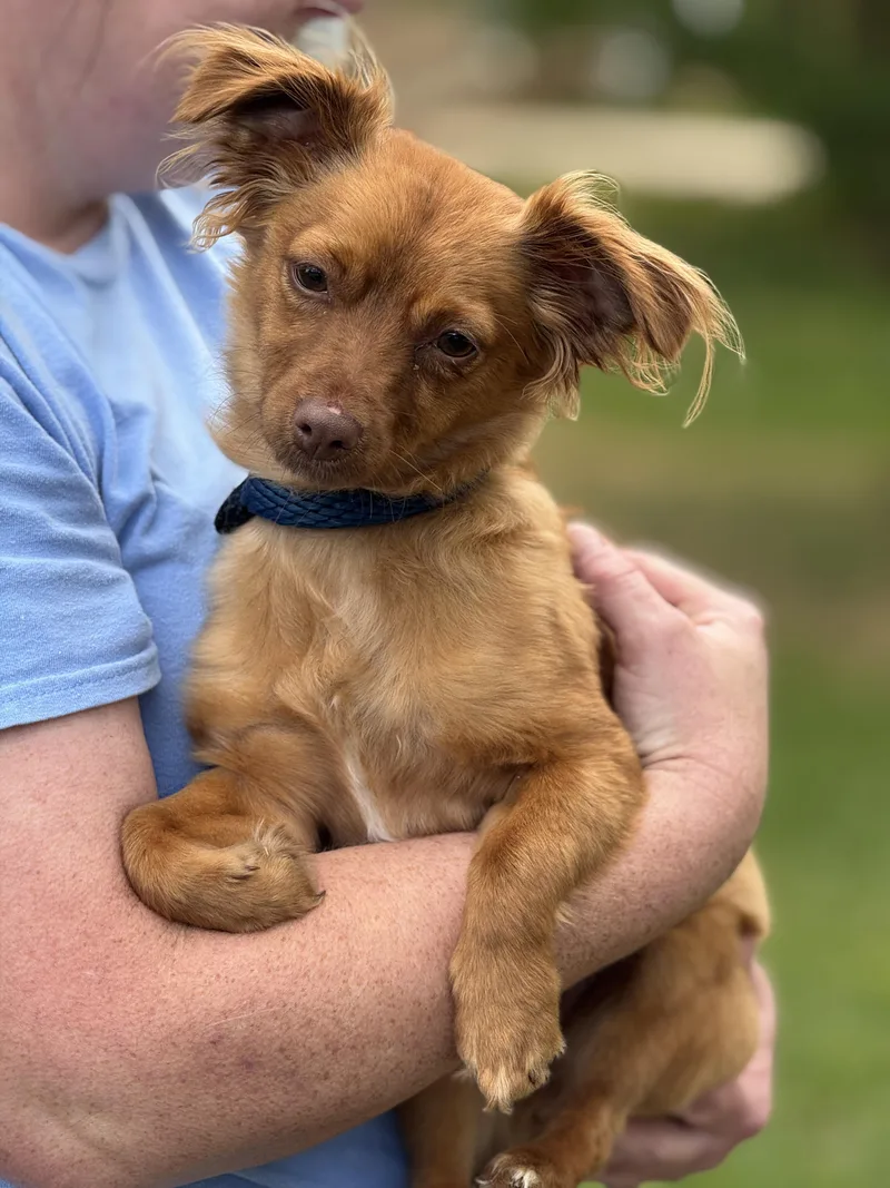 Maryclare thumbnail 6