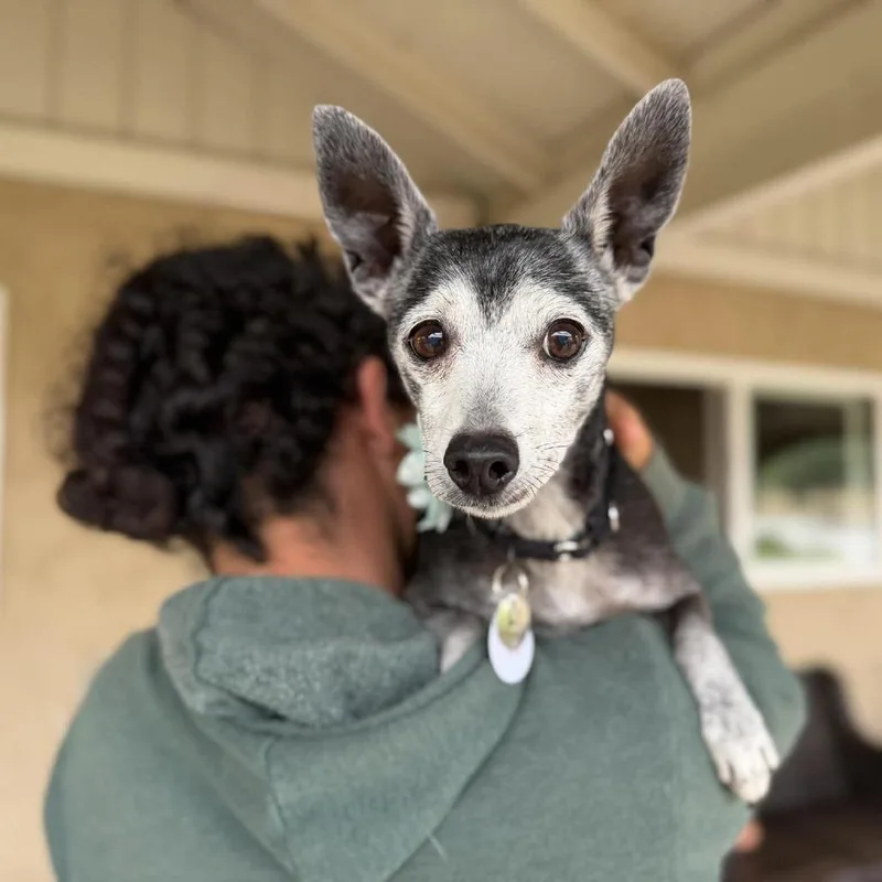 Coco Canyon thumbnail 2