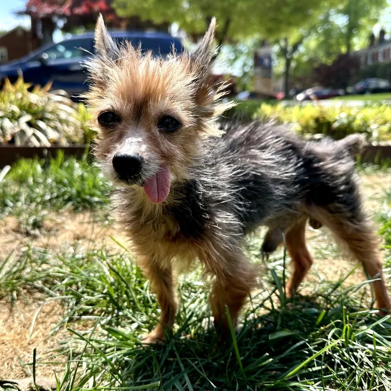Benny