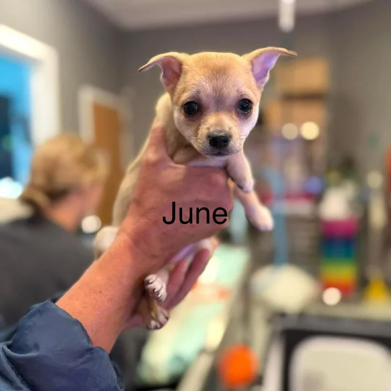 June