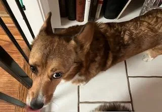 Maggie thumbnail 3