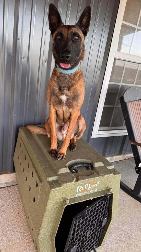 Jake Located In Oklahoma thumbnail 3