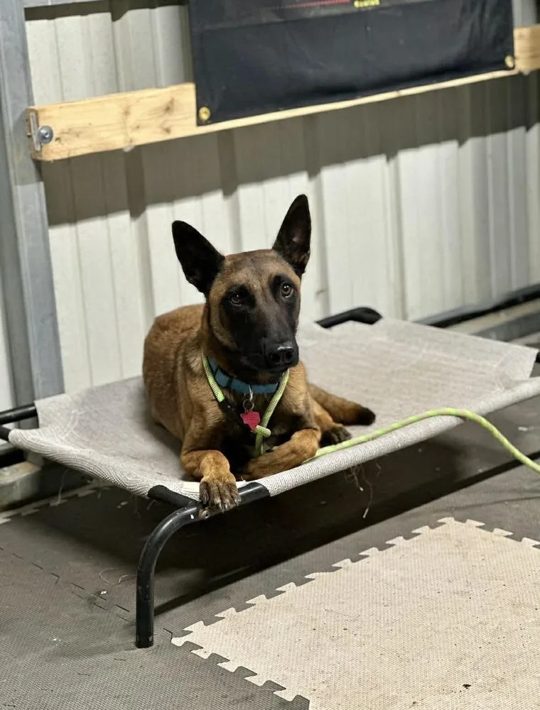 Jake Located In Oklahoma thumbnail 4