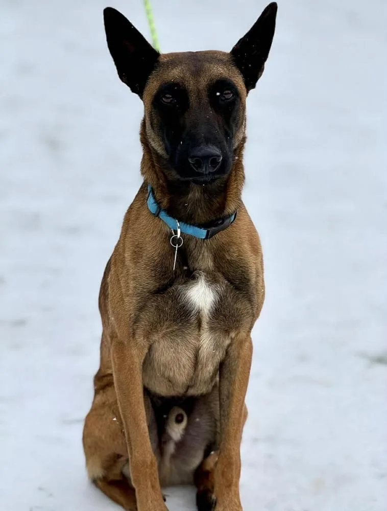 Jake Located In Oklahoma thumbnail 5