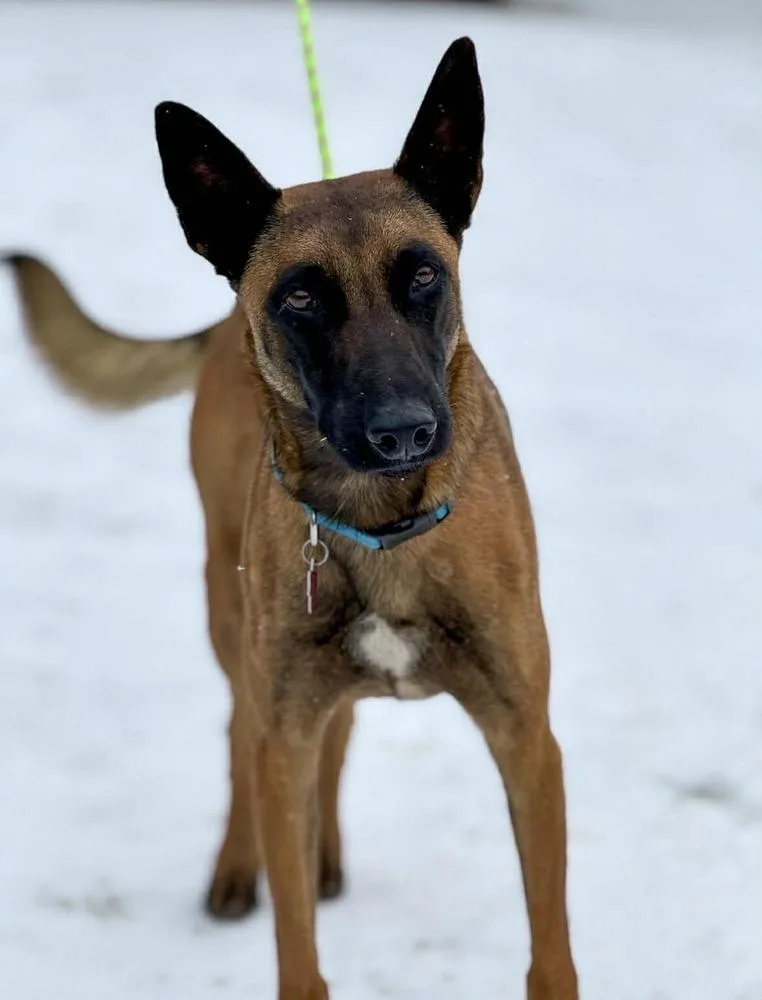 Jake Located In Oklahoma thumbnail 6