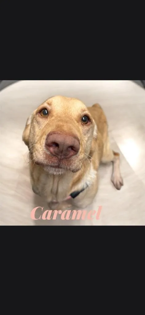 Carmel