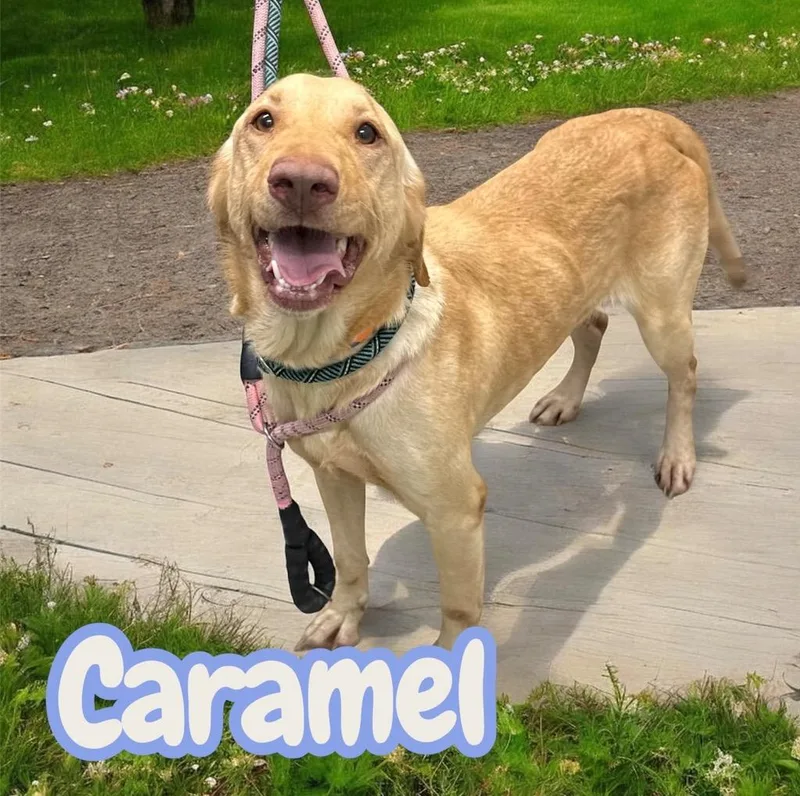 Carmel thumbnail 2