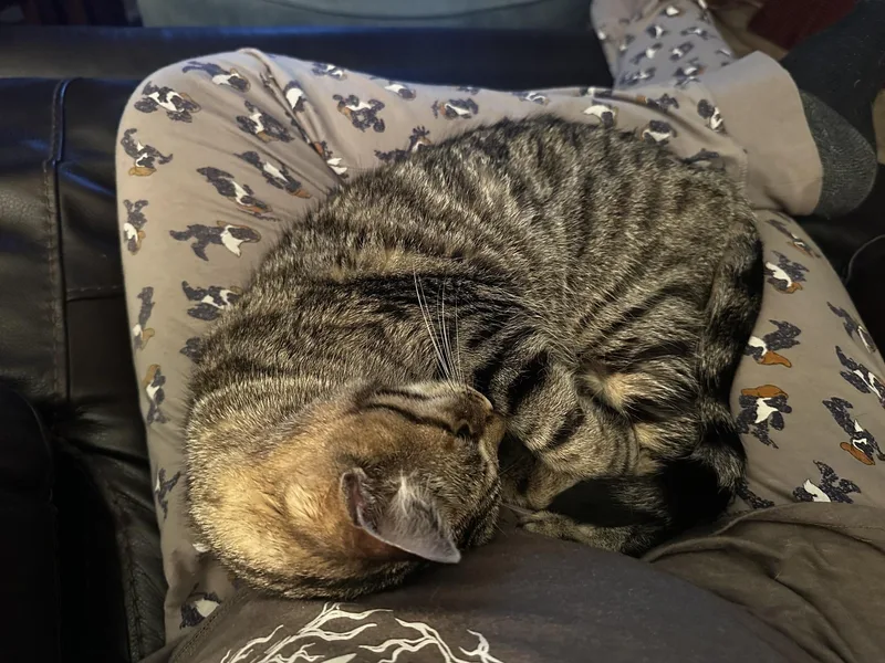 Emmy Lou thumbnail 3