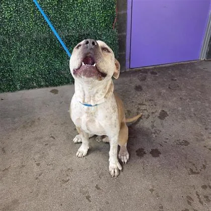 60743109 thumbnail 2