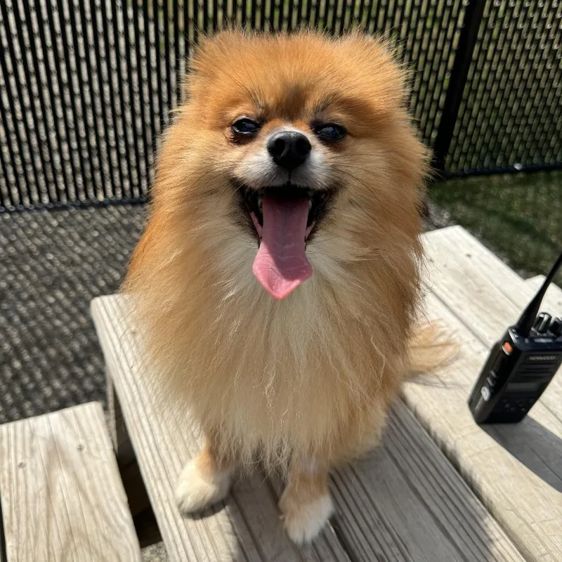 Buster