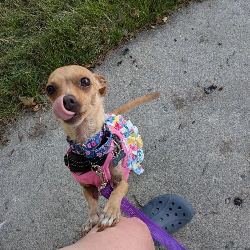 Bianca thumbnail 2