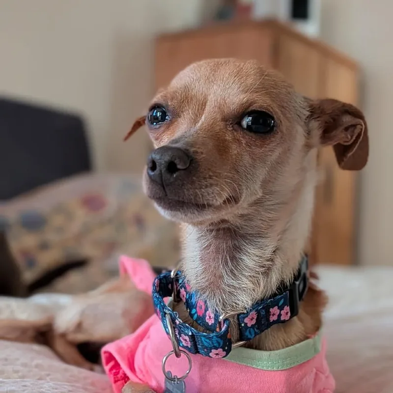 Bianca thumbnail 3
