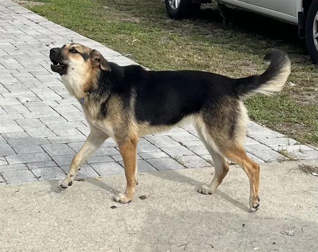 Lucy