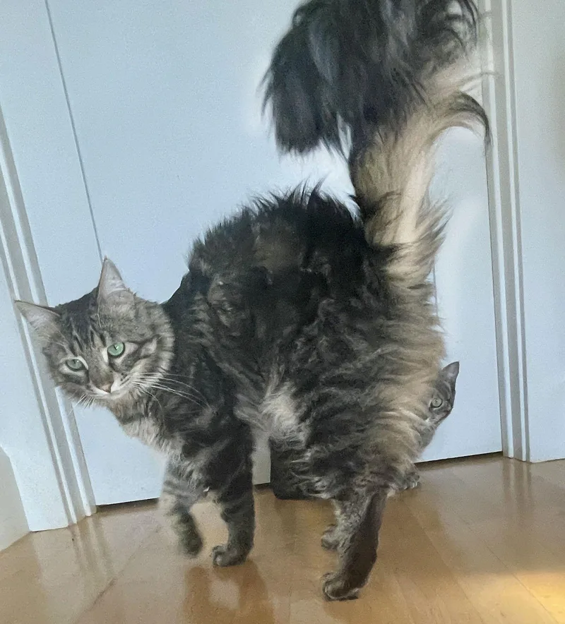 Hudson And Hazel thumbnail 2