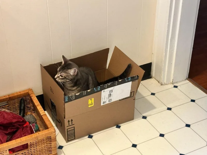 Moe And Curly thumbnail 4