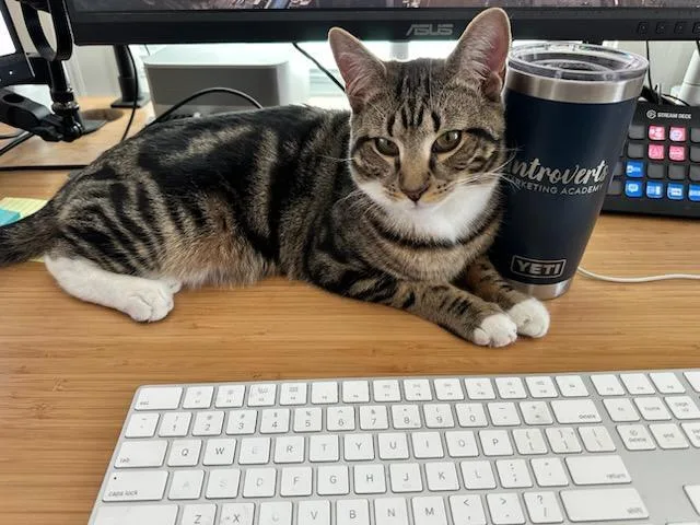 Moe And Curly thumbnail 5