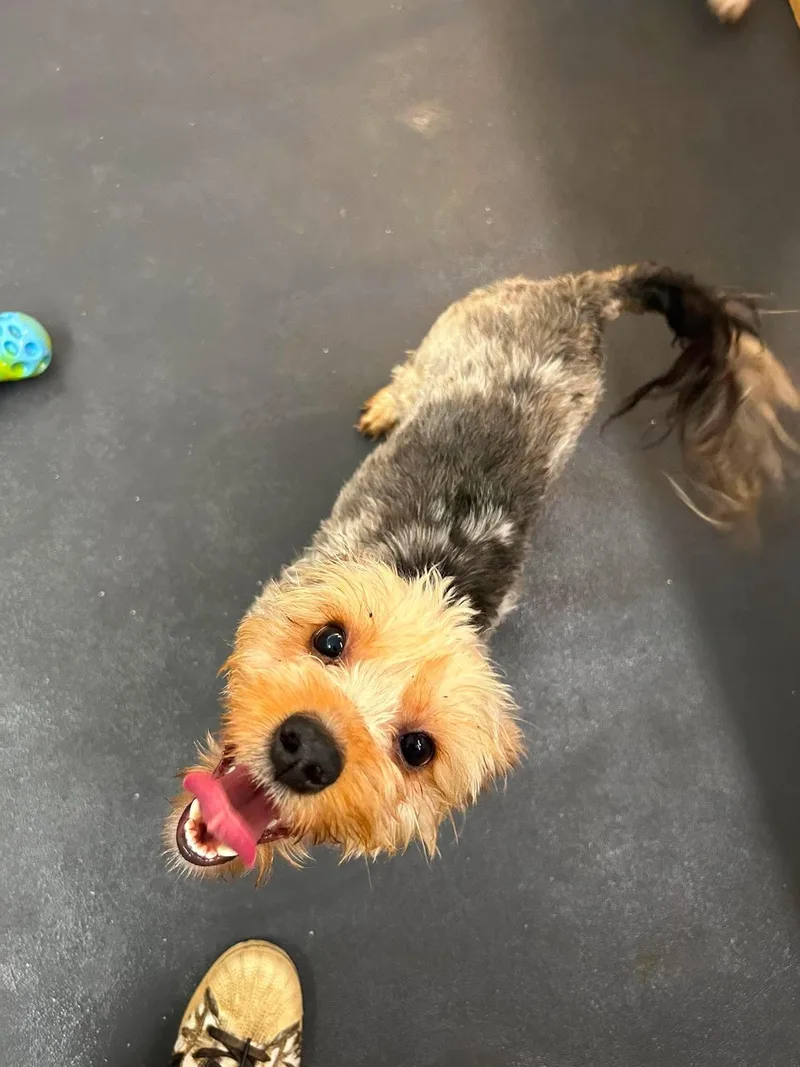 Maddy thumbnail 3