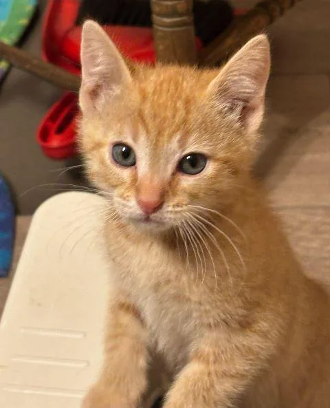 Leroy
